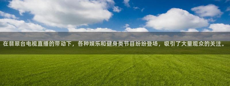 飞速足球直播吧：在翡翠台电视直播的带动下，各种娱乐和健身类节目纷纷登场，吸引了大量观众的关注。