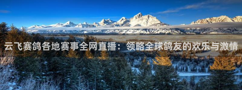 nba直播极速体育直播吧：云飞赛鸽各地赛事全网直播：领略全球鸽友的欢乐与激情